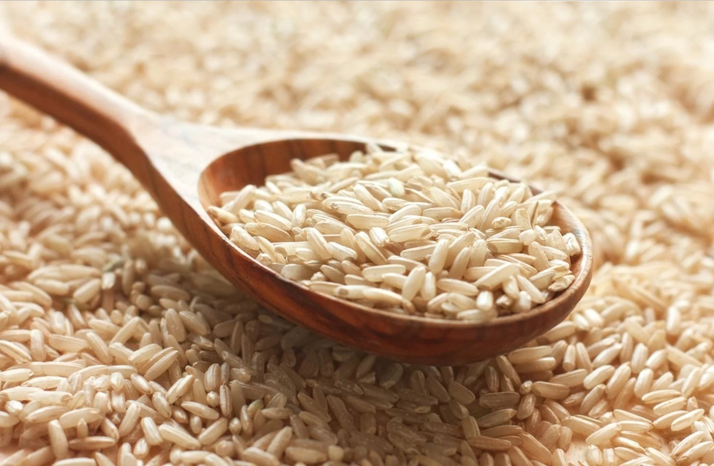 Brown Rice.jpg